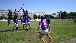 Finales Rugby